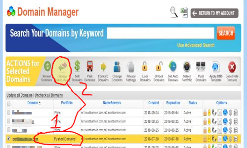 Select your domain to highlight it, then click the Change Nameservers button